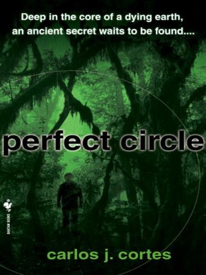 cover image of Perfect Circle